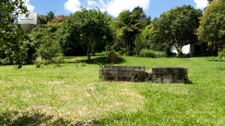 Fazenda à venda com 6 quartos, 17000m² - Foto 8