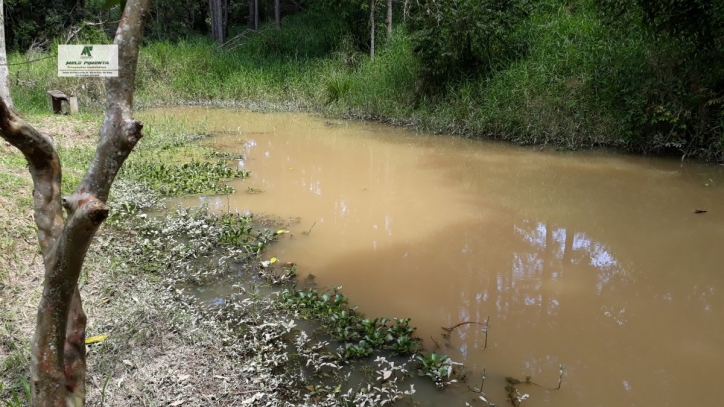 Fazenda à venda com 6 quartos, 17000m² - Foto 11