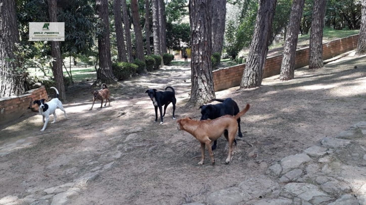 Fazenda à venda com 2 quartos, 38000m² - Foto 13