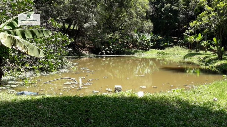 Fazenda à venda com 2 quartos, 38000m² - Foto 16