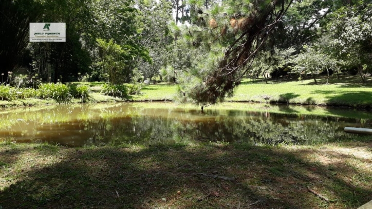 Fazenda à venda com 2 quartos, 38000m² - Foto 20